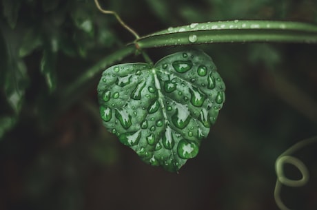 汛期到来降雨增多，防汛工作亟待加强！